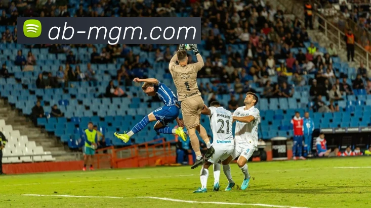 美高梅官网平台生态图